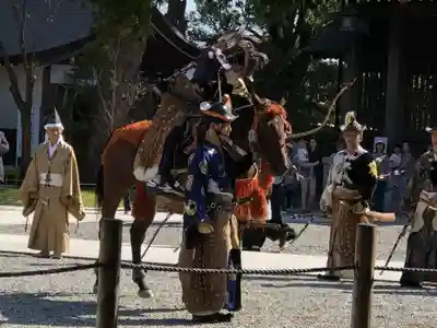 寒川神社のお祭り