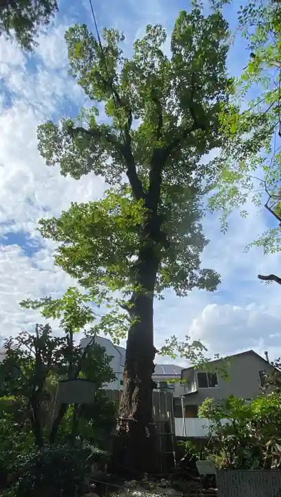 戸越八幡神社(東京都)