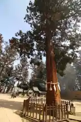 穂高神社本宮(長野県)