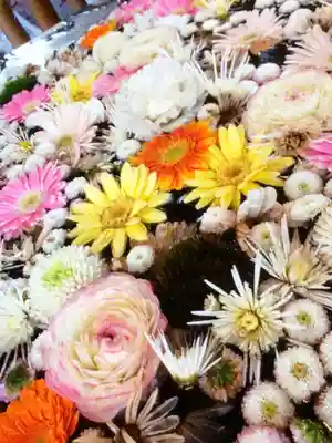 高円寺氷川神社(東京都)