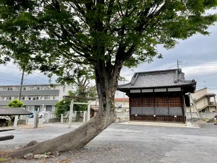 伊佐須美神社(群馬県)