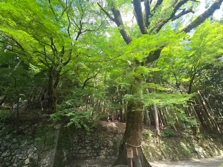 談山神社(奈良県)