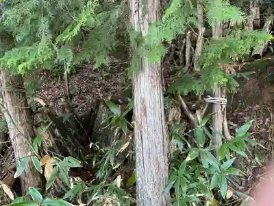 衆良神社(京都府)