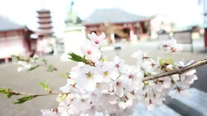 津観音(三重県)