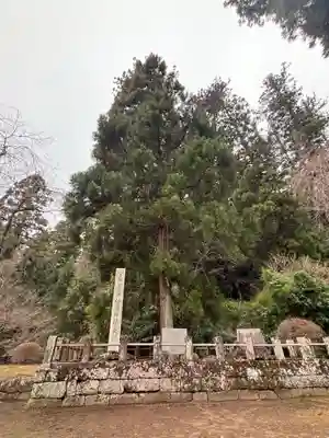 妙義神社(群馬県)