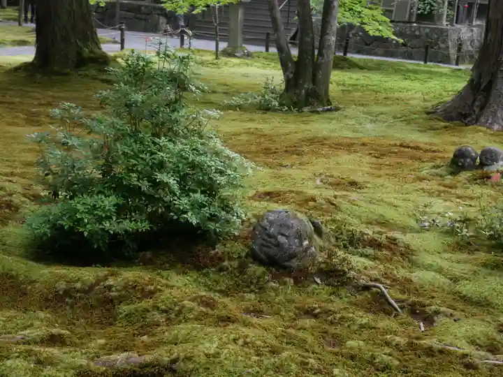 三千院門跡(京都府)