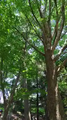 下総国三山　二宮神社(千葉県)