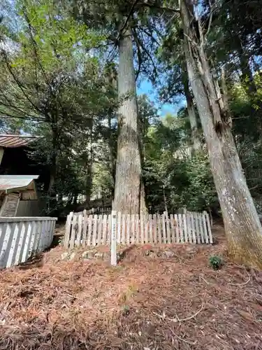 天鷹神社の自然