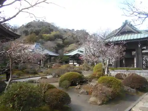 海蔵寺の庭園