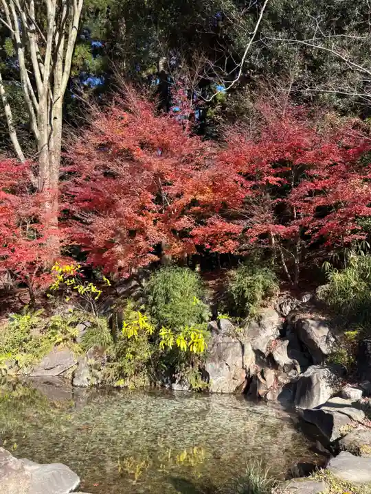 霧島神宮(鹿児島県)