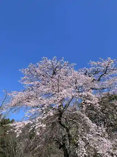 国宝 大法寺(長野県)