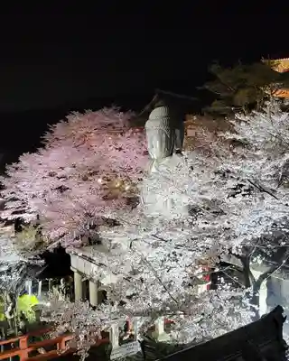 南法華寺（壷阪寺）(奈良県)