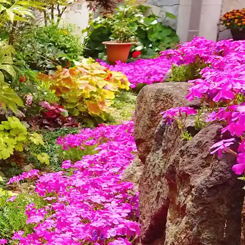 寿量山　速成寺の自然
