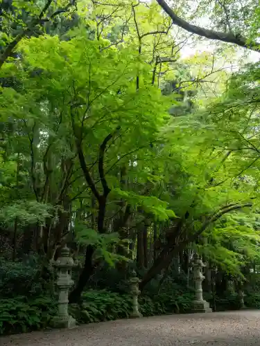 香取神宮(千葉県)