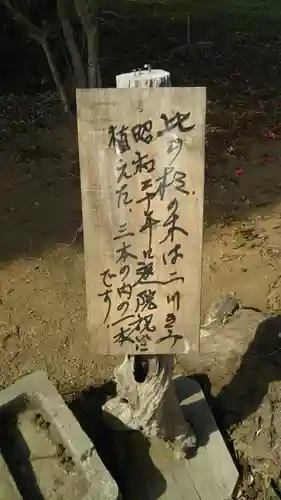 熊野神社のその他建物