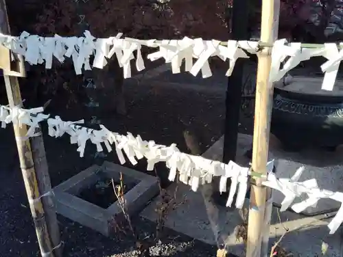 大蓮寺のおみくじ