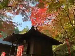 普門寺(切り絵御朱印発祥の寺)の本殿