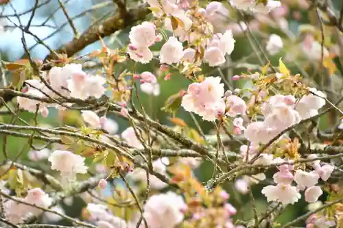 磐椅神社(福島県)