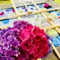 土津神社|こどもと出世の神さまの手水舎