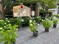 坐摩神社の{uncategorized: "未分類", other: "その他", undefined: "問題あり", building: "その他建物", grave: "お墓", sacred_gate: "鳥居", guardian: "狛犬", statue: "像", buddha: "仏像", history: "歴史", nature: "自然", garden: "庭園", animal: "動物", pagoda: "塔", temizu: "手水舎", mountain_gate: "山門・神門", sanctuary: "本殿・本堂", subordinate: "末社・摂社", art: "芸術", scenery: "景色", jizo: "地蔵", ema: "絵馬", goshuin: "御朱印", omikuji: "おみくじ", items: "授与品その他", amulet: "お守り", goshuincho: "御朱印帳", eats: "食事", festival: "お祭り", votive_dance: "神楽", shichigosan: "七五三参", wedding: "結婚式", experience: "体験その他", initially: "初詣", around: "周辺", anti_infection: "感染症対策"}