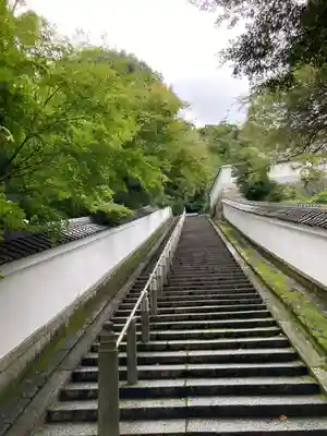 知恩院(京都府)