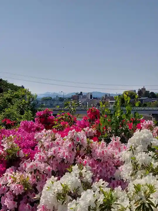 犀川神社(石川県)