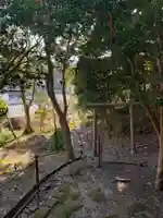 金毘羅大権現の鳥居