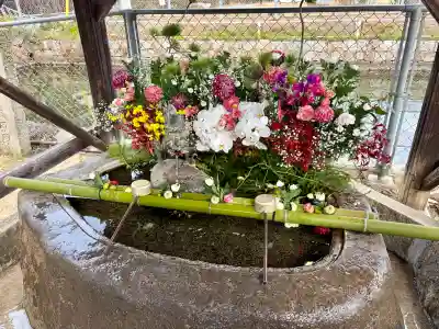 大浦神社の{uncategorized: "未分類", other: "その他", undefined: "問題あり", building: "その他建物", grave: "お墓", sacred_gate: "鳥居", guardian: "狛犬", statue: "像", buddha: "仏像", history: "歴史", nature: "自然", garden: "庭園", animal: "動物", pagoda: "塔", temizu: "手水舎", mountain_gate: "山門・神門", sanctuary: "本殿・本堂", subordinate: "末社・摂社", art: "芸術", scenery: "景色", jizo: "地蔵", ema: "絵馬", goshuin: "御朱印", omikuji: "おみくじ", items: "授与品その他", amulet: "お守り", goshuincho: "御朱印帳", eats: "食事", festival: "お祭り", votive_dance: "神楽", shichigosan: "七五三参", wedding: "結婚式", experience: "体験その他", initially: "初詣", around: "周辺", anti_infection: "感染症対策"}