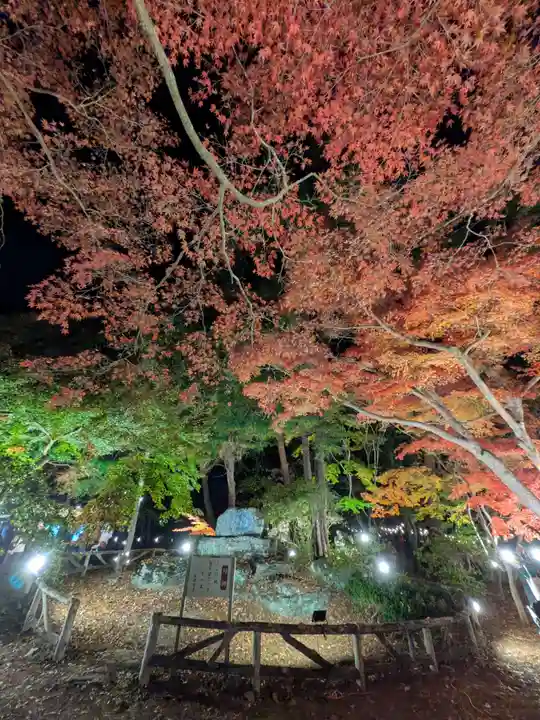 宝登山神社(埼玉県)