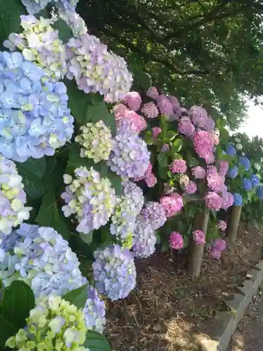 住吉神社の自然