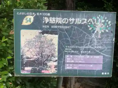 浄慈院(愛知県)