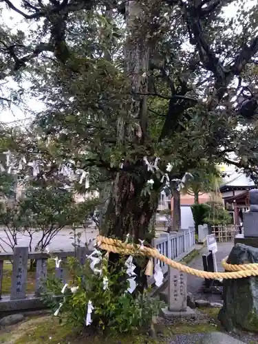 神明神社(福井県)