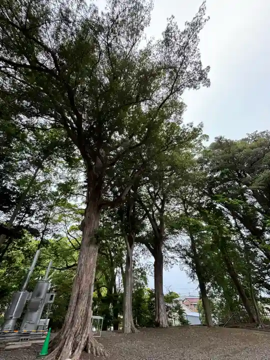玉前神社の{uncategorized: "未分類", other: "その他", undefined: "問題あり", building: "その他建物", grave: "お墓", sacred_gate: "鳥居", guardian: "狛犬", statue: "像", buddha: "仏像", history: "歴史", nature: "自然", garden: "庭園", animal: "動物", pagoda: "塔", temizu: "手水舎", mountain_gate: "山門・神門", sanctuary: "本殿・本堂", subordinate: "末社・摂社", art: "芸術", scenery: "景色", jizo: "地蔵", ema: "絵馬", goshuin: "御朱印", omikuji: "おみくじ", items: "授与品その他", amulet: "お守り", goshuincho: "御朱印帳", eats: "食事", festival: "お祭り", votive_dance: "神楽", shichigosan: "七五三参", wedding: "結婚式", experience: "体験その他", initially: "初詣", around: "周辺", anti_infection: "感染症対策"}