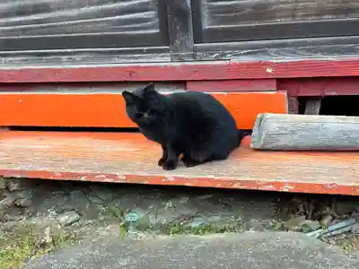 八阪神社(徳島県)