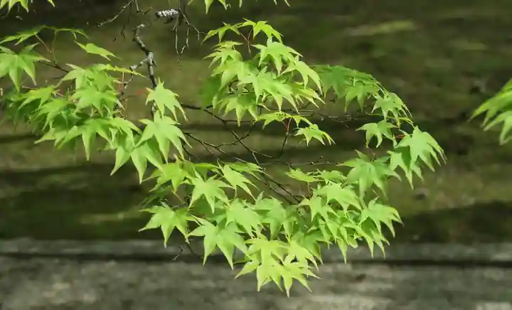 高野山金剛峯寺(和歌山県)