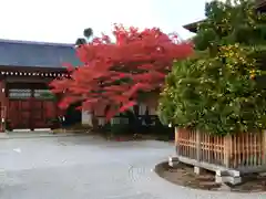 大覚寺(京都府)