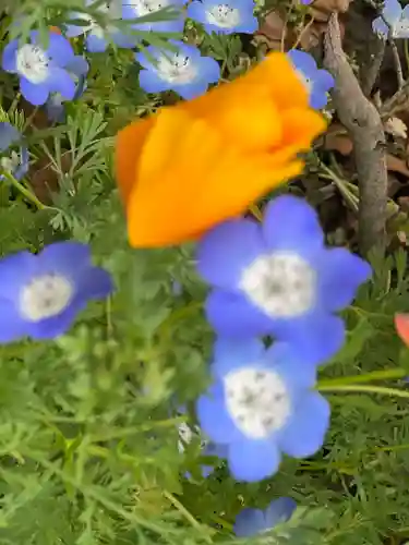 佐野原神社の自然