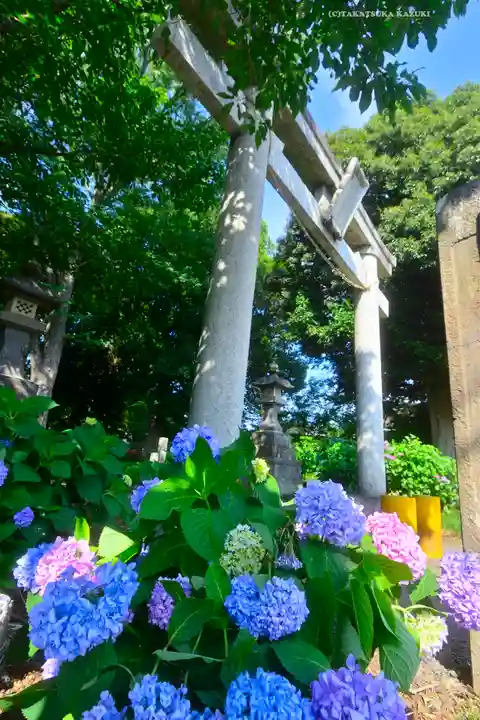 指扇氷川神社(埼玉県)