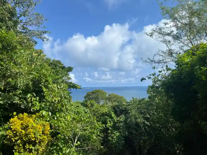 斎場御嶽の{uncategorized: "未分類", other: "その他", undefined: "問題あり", building: "その他建物", grave: "お墓", sacred_gate: "鳥居", guardian: "狛犬", statue: "像", buddha: "仏像", history: "歴史", nature: "自然", garden: "庭園", animal: "動物", pagoda: "塔", temizu: "手水舎", mountain_gate: "山門・神門", sanctuary: "本殿・本堂", subordinate: "末社・摂社", art: "芸術", scenery: "景色", jizo: "地蔵", ema: "絵馬", goshuin: "御朱印", omikuji: "おみくじ", items: "授与品その他", amulet: "お守り", goshuincho: "御朱印帳", eats: "食事", festival: "お祭り", votive_dance: "神楽", shichigosan: "七五三参", wedding: "結婚式", experience: "体験その他", initially: "初詣", around: "周辺", anti_infection: "感染症対策"}