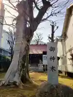 高田馬場天祖神社(東京都)