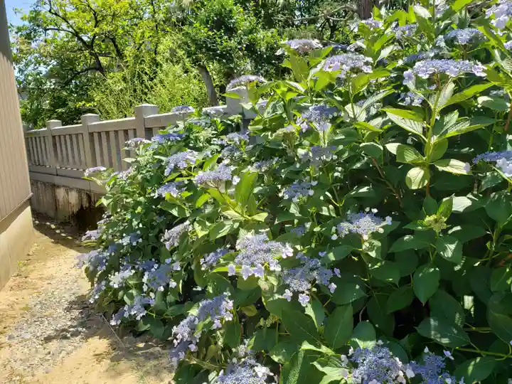 須田神社の自然