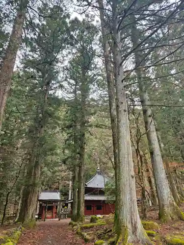 輪王寺(栃木県)
