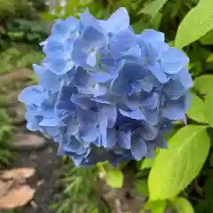 豊景神社の自然