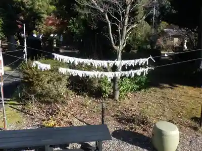 京都乃木神社のおみくじ