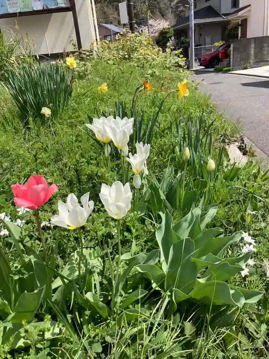 光触寺(神奈川県)