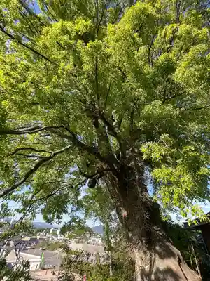 正覚院(広島県)