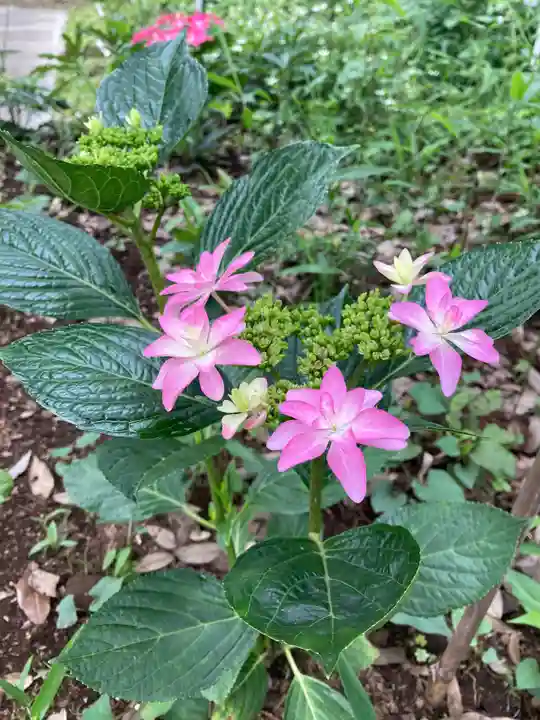 息栖神社の自然