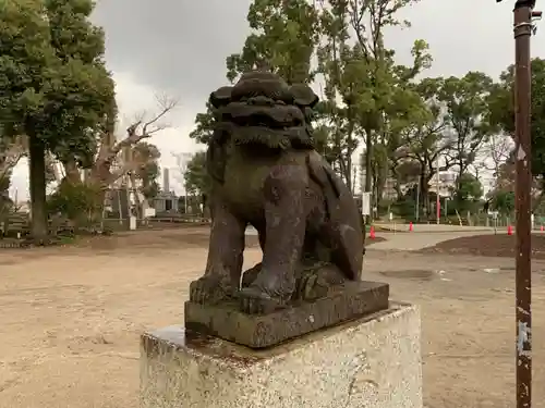 飯香岡八幡宮の狛犬