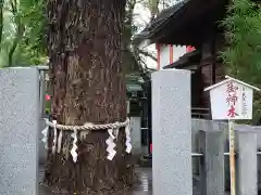 田無神社の自然