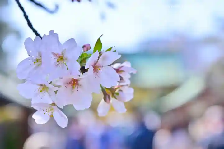 上野東照宮(東京都)